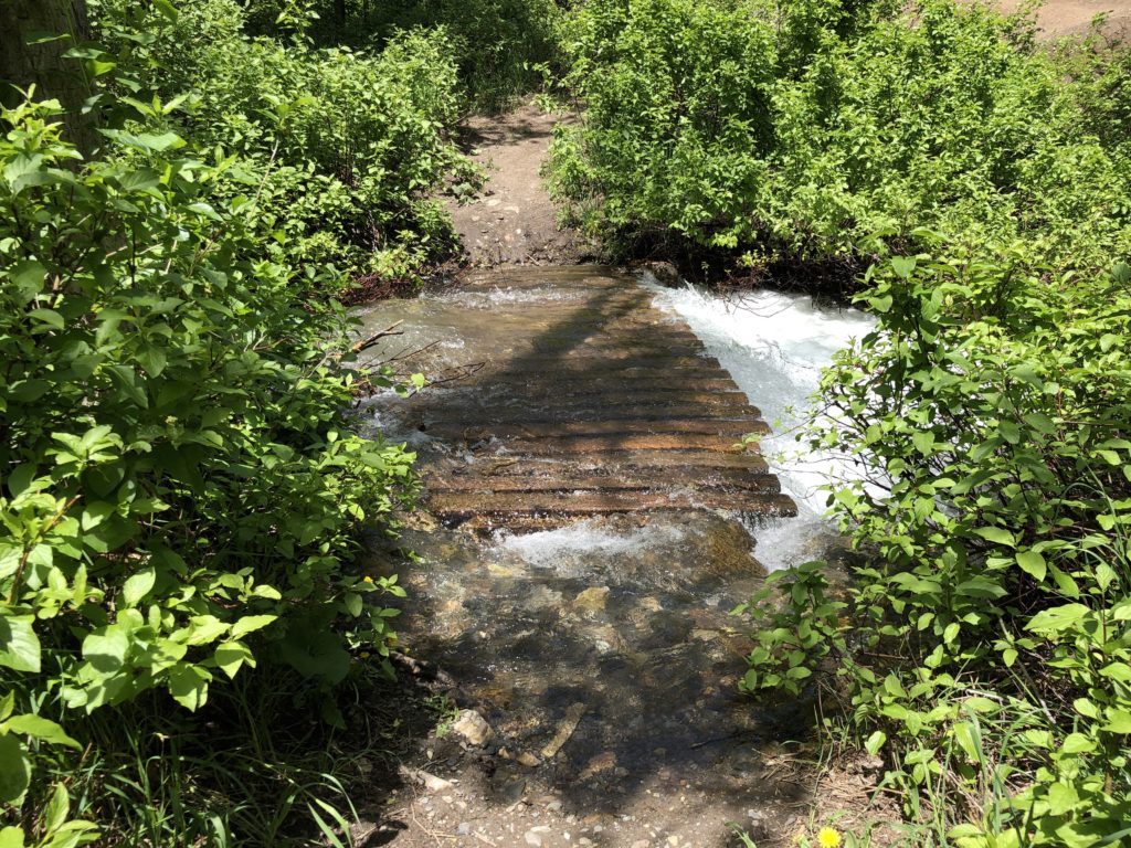 Bridge on Pipeline Trail