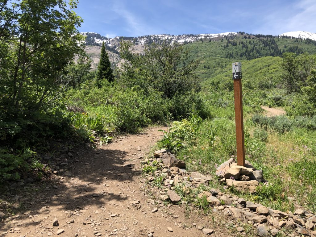 Pipeline Trail intersection with Trail 365